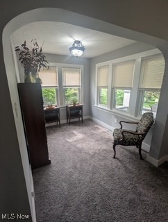 Firestone Park - Residential