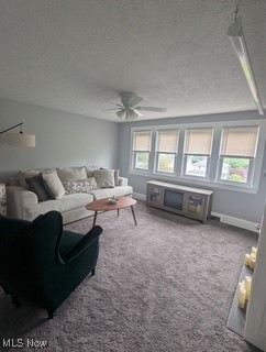 Firestone Park - Residential