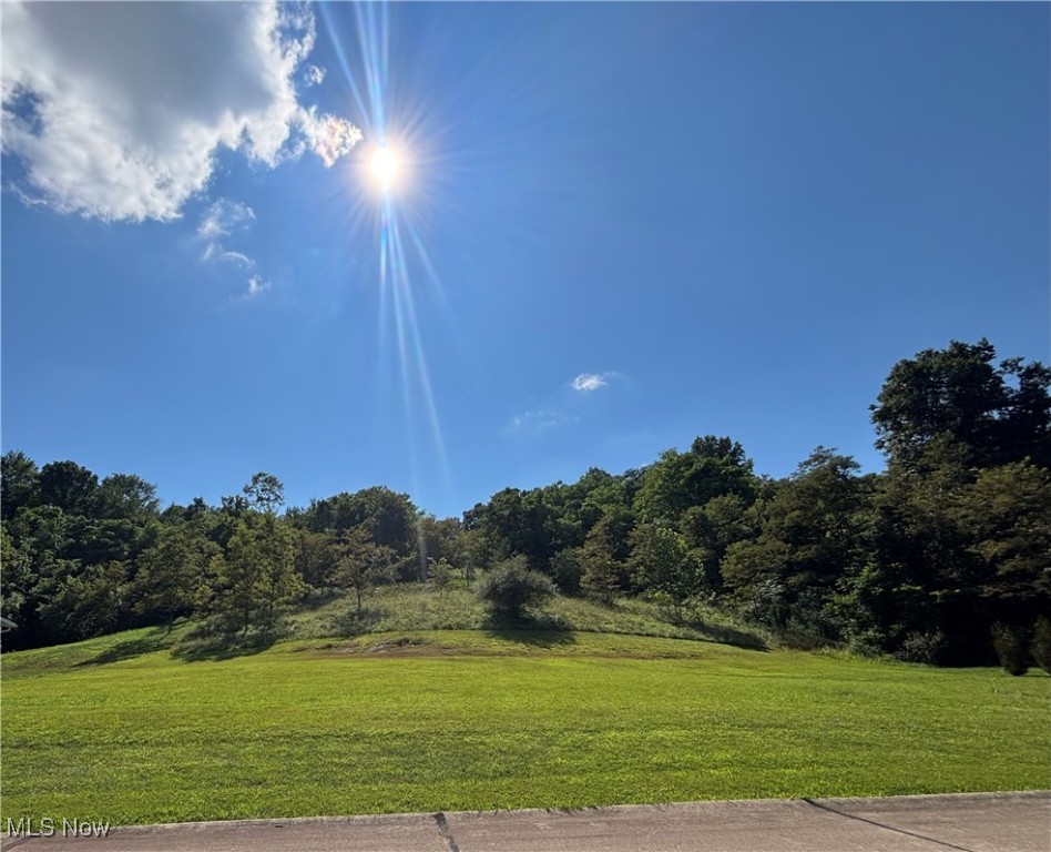 Skyview Pointe - Land