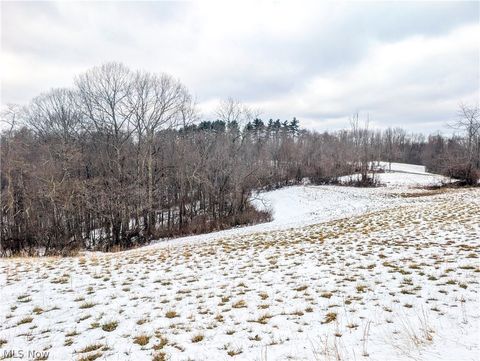 Vacant Land For Sale - 0 Tract 12 Tr 233<br/> Noble County, Summerfield, OH 43788
