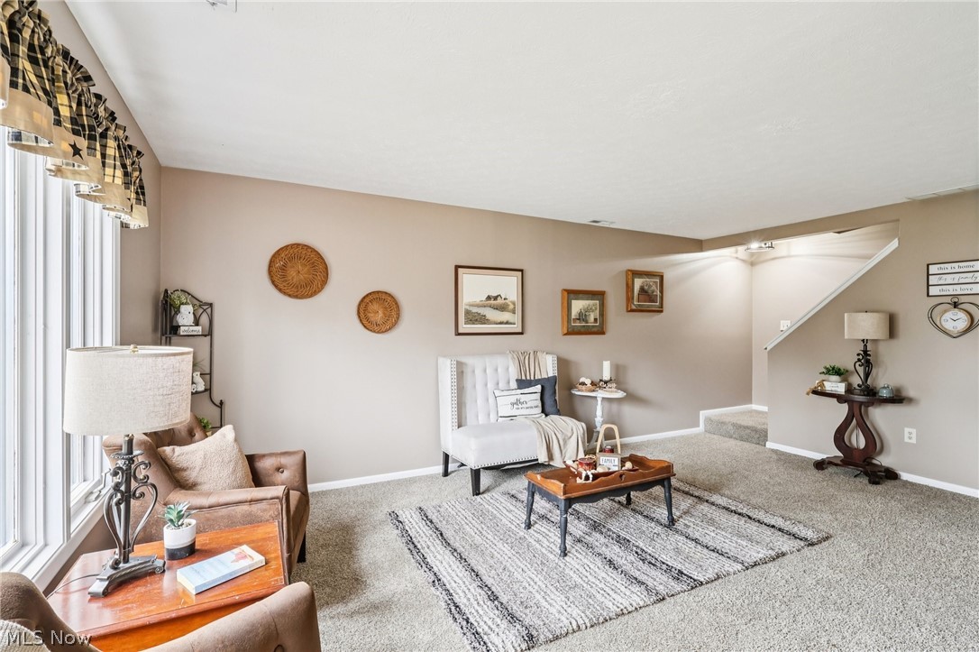 Hickory Ridge Condo - Residential