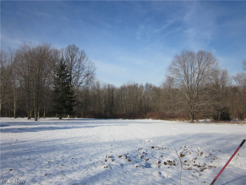 Braceville Township Sec 12 - Residential