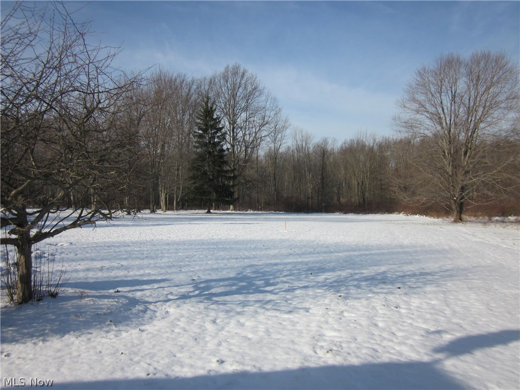 Braceville Township Sec 12 - Residential