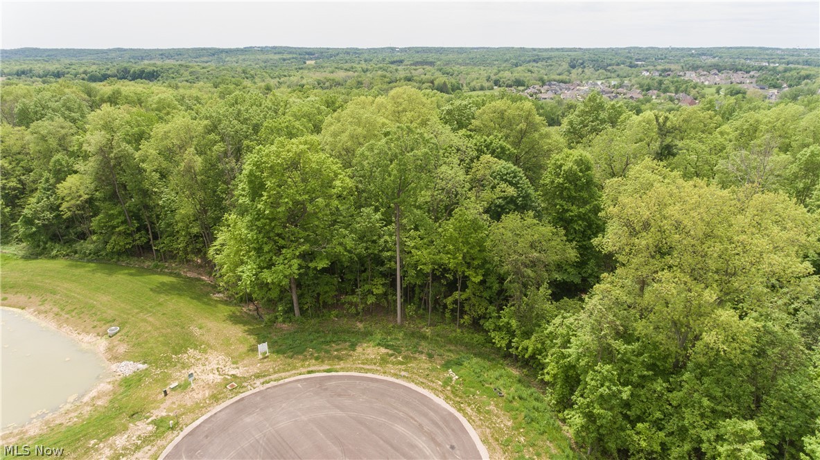 From the moment you turn from the country road into Bonnie Glen Estates, you can feel how truly special this neighborhood is. Bonnie Glen Estates is a luxury single family subdivision that offers homebuyers the rare opportunity to custom design and build in one of the most sought after developments. With 33 estate sized lots from 2 to 4.33 acres, Bonnie Glen Estates has everything from ponds and wooded lots with privacy to flat lots that sit high and offer stunning horizon views. Marked by the charm of old-growth trees, residents will enjoy the secluded feel of their new community, while taking advantage of the considerable amenities at their fingertips. Bonnie Glen Estates is located in the award-winning Highland School District with close proximity to major highways, airports, shopping and dining in Medina and Montrose. There are still plenty of lots to choose from; don't miss this opportunity to bring your builder to build your custom dream home. Located on the back edge of Bonn