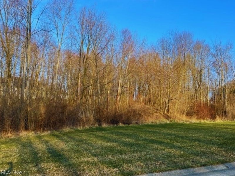 Discover Treemont Estates, the most prestigious neighborhood in Canton South. Nestled in wooded acerage, you will be close to the conveniences of town, but out of the chaos and noise of city life. Located only a few short minutes from the highway, you are rewarded with the accessibilities of nearby shopping, schools and golf courses but you will feel as if you are in the country. Bring the builder of your choice and make your dream home a reality.