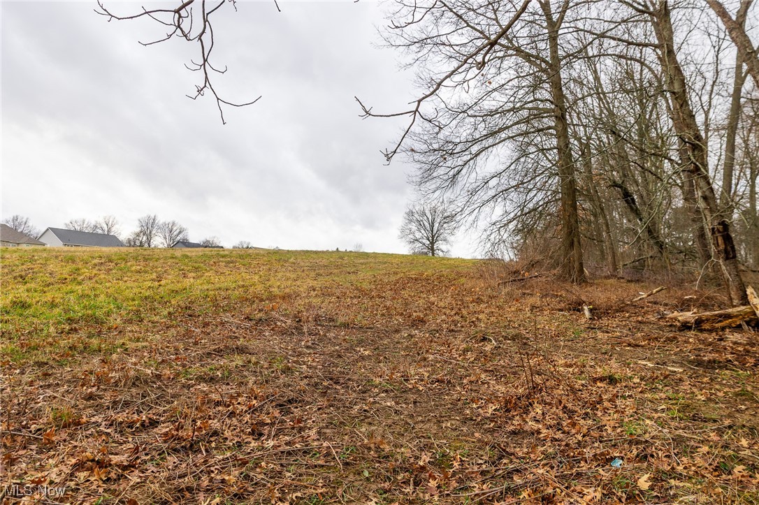 Hilltop Allotment - Residential