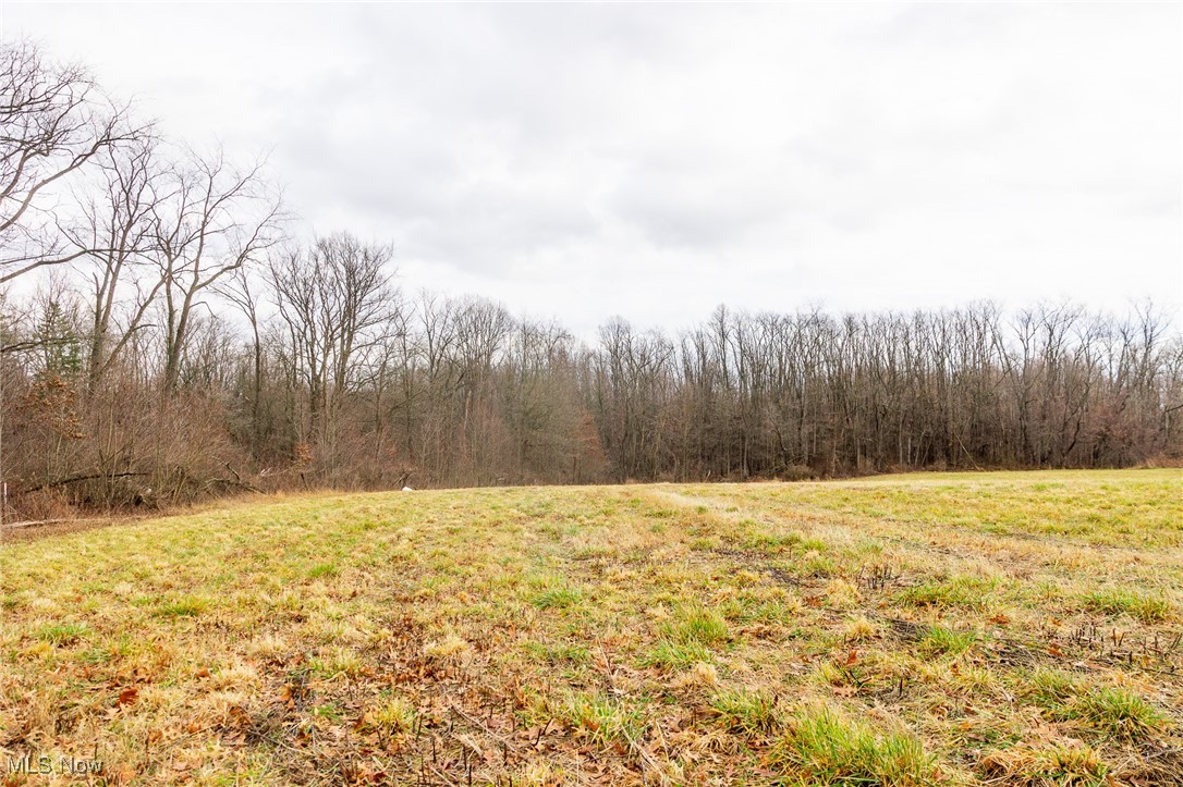 Hilltop Allotment - Residential