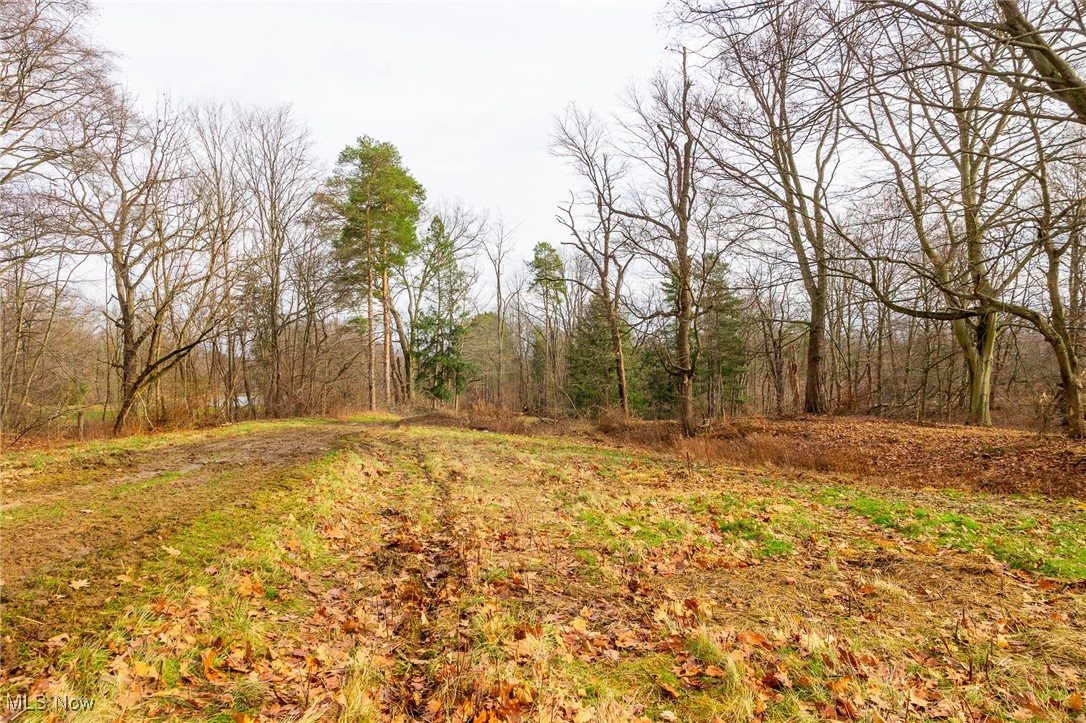 Hilltop Allotment - Residential