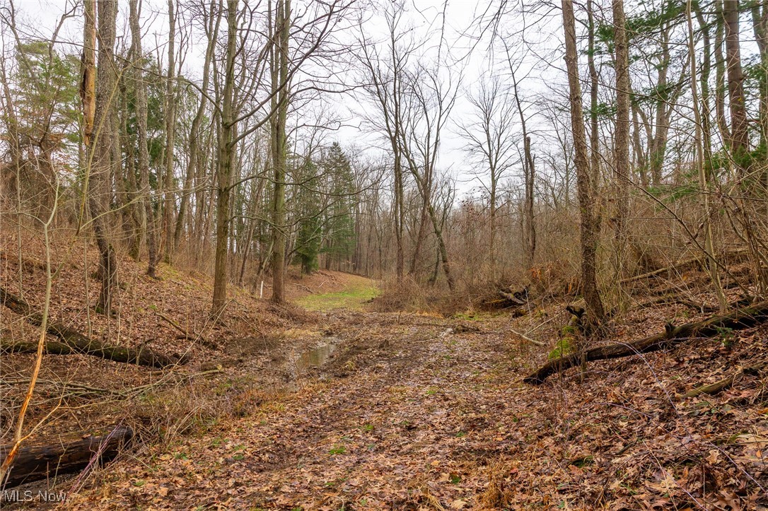 Hilltop Allotment - Residential