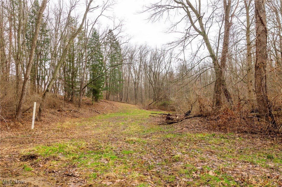 Hilltop Allotment - Residential