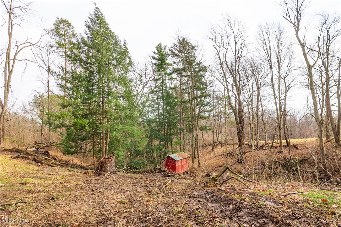 Hilltop Allotment - Residential