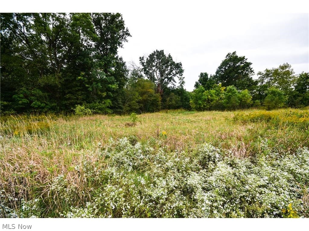 Walsh - Land