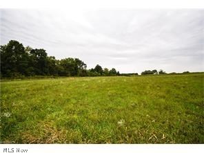 Walsh - Land