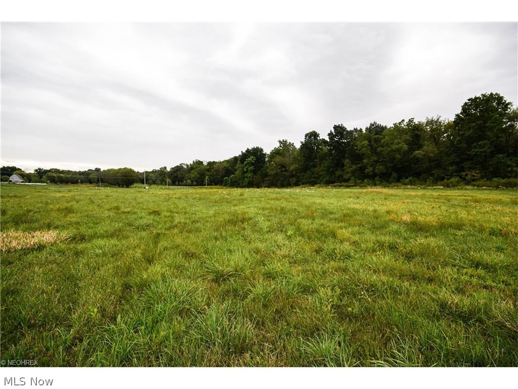 Walsh - Land