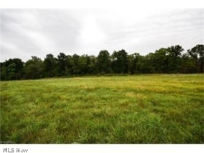 Walsh - Land