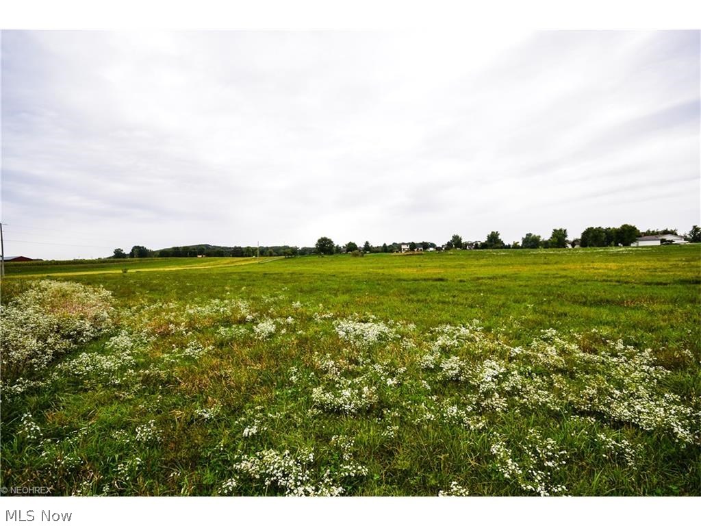 Walsh - Land