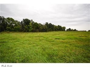 Great lot! Perfect for a mini farm! Woods to the left of the property and wide open farmland to the right creates the perfect setting! Lot will need well and septic. Gorgeous setting, won't last long! They aren't making anymore land so here's your opportunity!