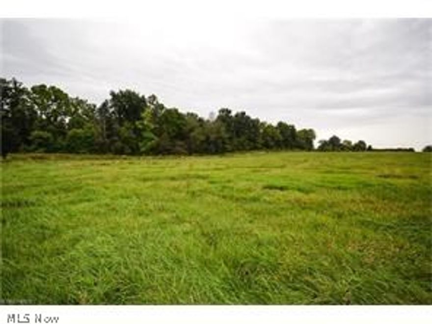 Great lot! Perfect for a mini farm!  Woods to the left of the property and wide open farmland to the right creates the perfect setting!  Lot will need well and septic.  Gorgeous setting, won't last long!  They aren't making anymore land so here's your opportunity!