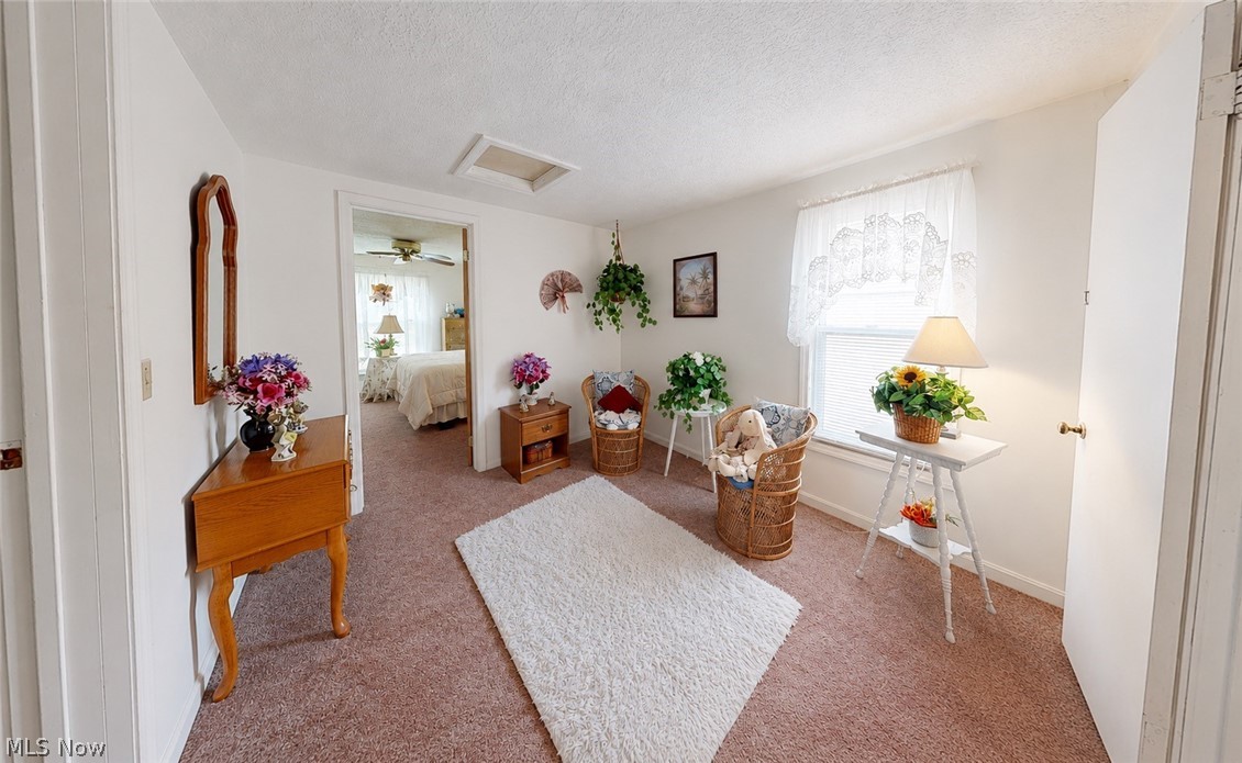 Hiram Lake - Residential