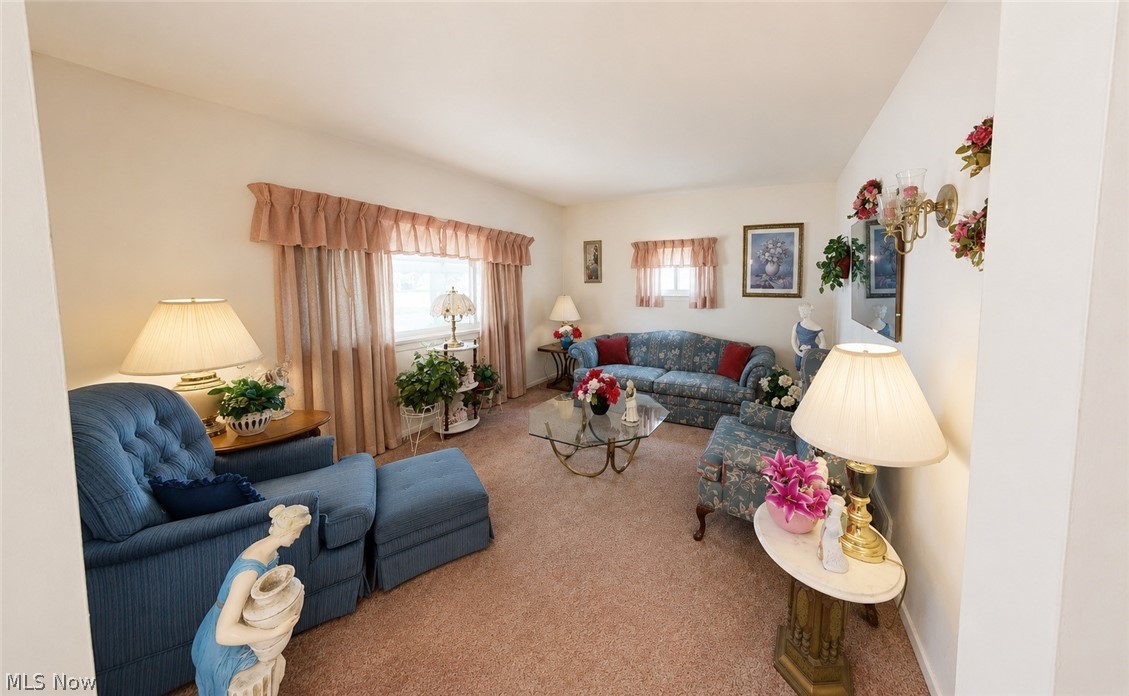 Hiram Lake - Residential