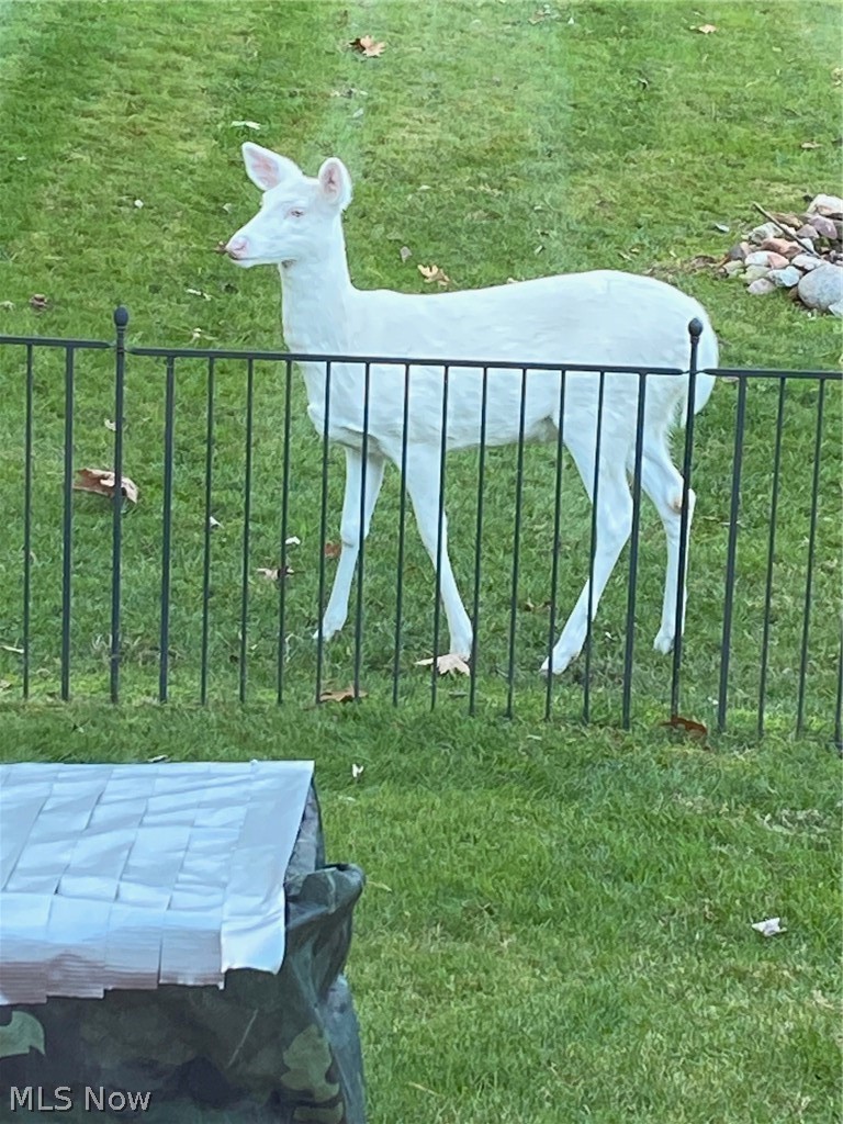 Lake Mohawk 08 - Residential