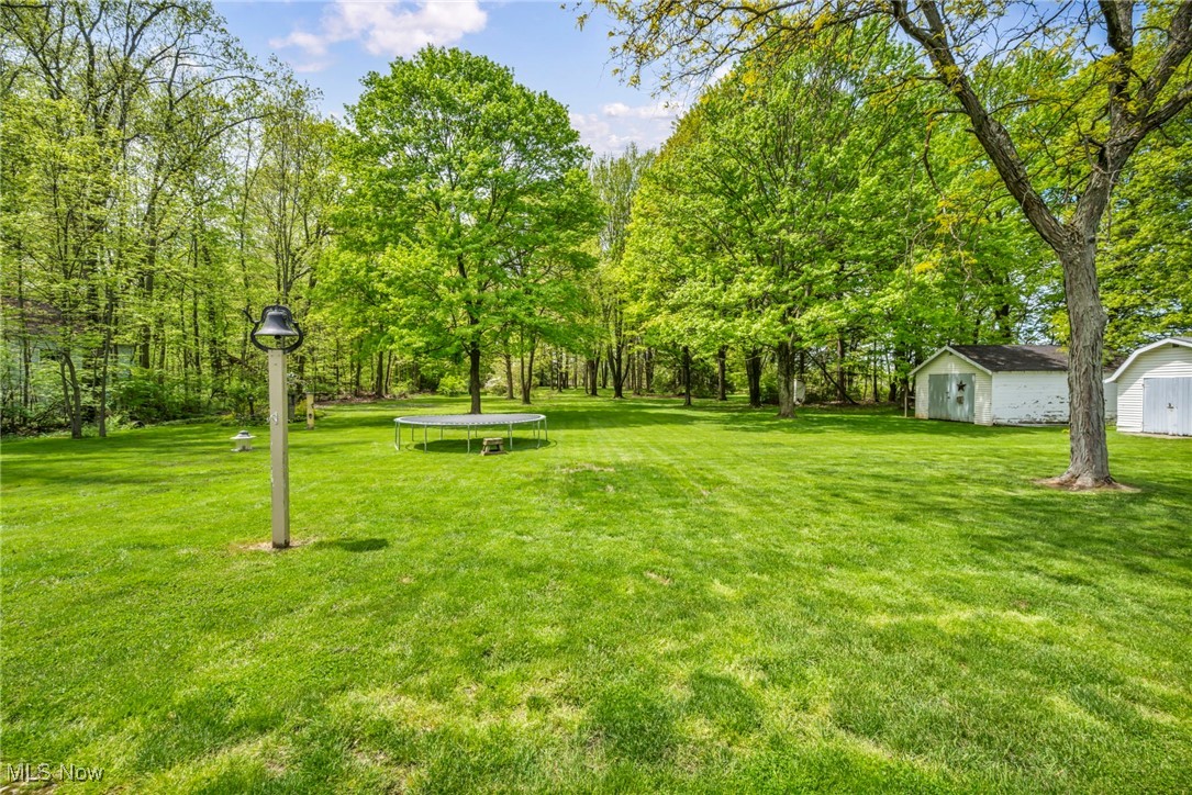 7662 State Road, Wadsworth, Ohio image 8