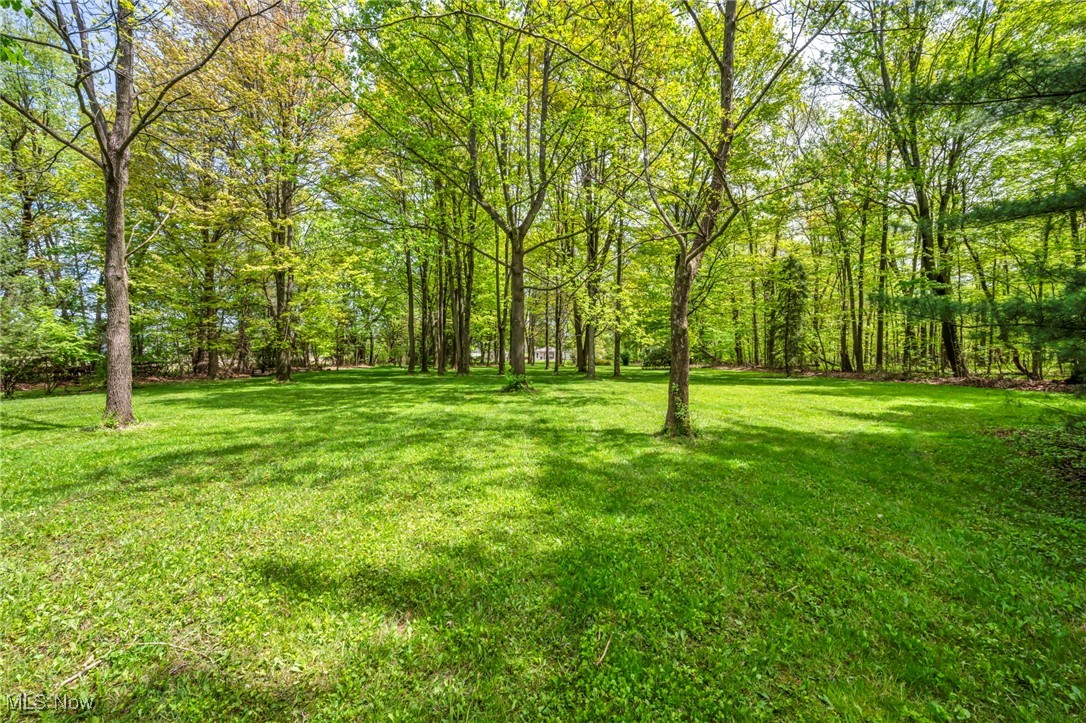 7662 State Road, Wadsworth, Ohio image 10