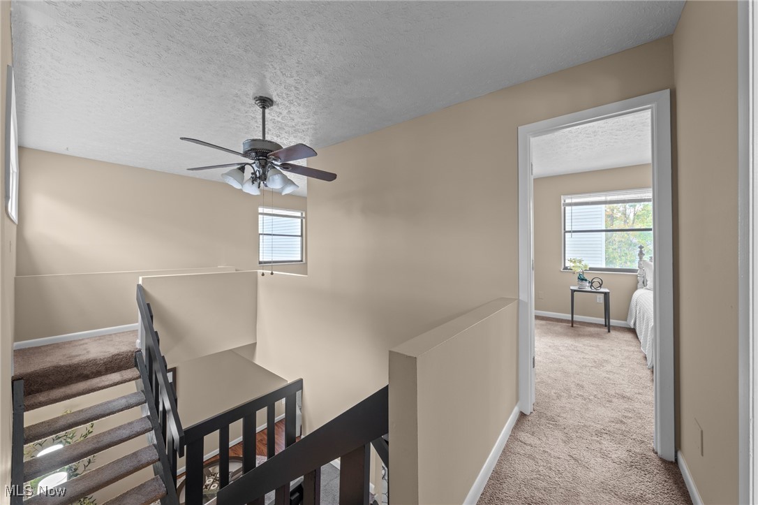 Meadow Run Condo - Residential
