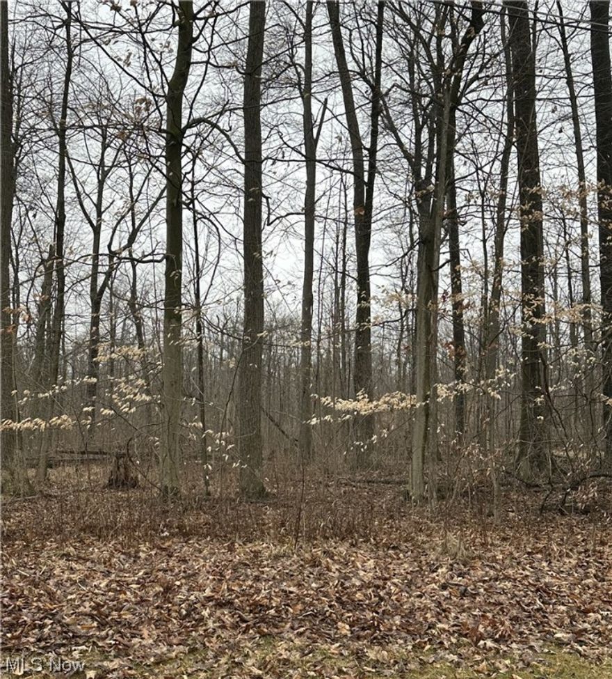 Fabulous wooded building lot located nestled in Cinnamon Lakes gated community. Build your dream home on this cul-de-sac lot! Cinnamon Lakes offers a 135 acre stocked lake which includes: bass, blue gill, crappie, walleye, & saugeye. Electric motors only, no gas powered boats. Have fun driving around on Golf carts as they are permitted! You will have access to the lodge, beach, inground pool, playground area, pavilions, basketball, tennis, sand volley ball courts, wet & dry docks. There is a one time new member fee of $750. In the process of re-paving the roads!