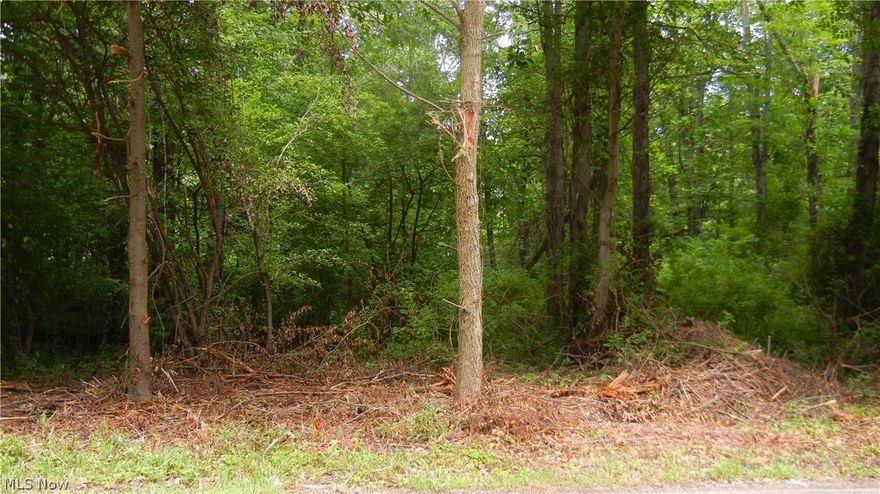 What a  country setting  to build on..  Please  be  careful when walking  on  the  left  which is the parcel with the  sign in that side  blocks or foundation Seller  were  told are on that side.. City Utilities available Public water Sewer  Water Tap in Fees $2,100   Sewer Tap in Fees $1,500
