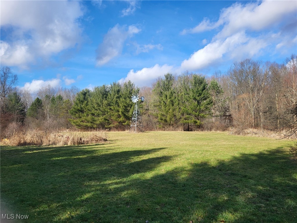 8867 N Park Avenue, North Bloomfield, Ohio image 20