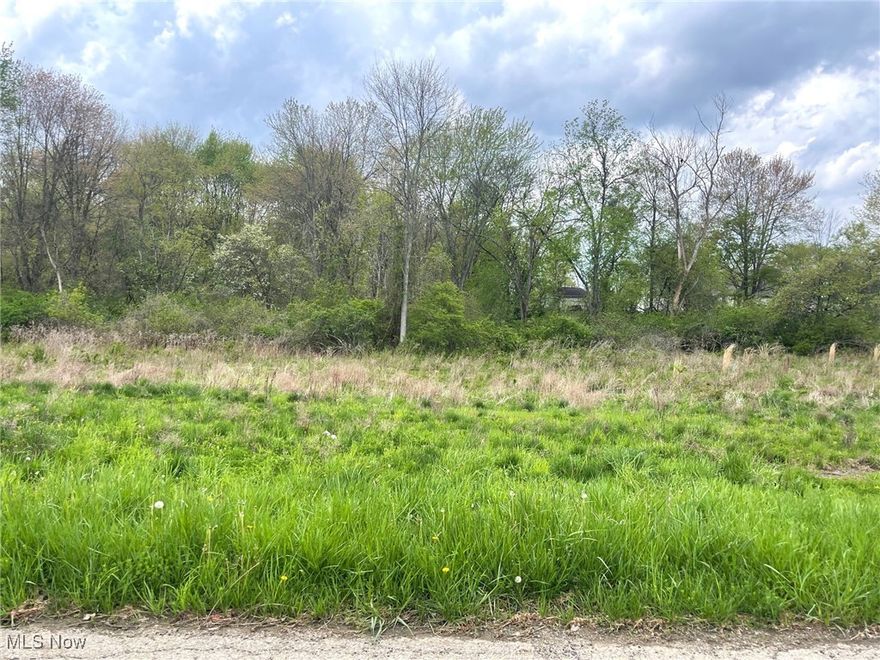 This buildable .57 acre partially wooded lot is on a dead end street and is located in the Perry Local School District. Lot is level and has 65' of frontage and is 383' deep. Public water and public sewer. Directions: Erie St. to east on Forest Ave. SE. to south on Candell St. SE.