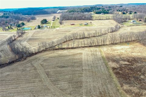 Vacant Land For Sale - St Rt 603<br/> Richland County, Lucas, OH 44843