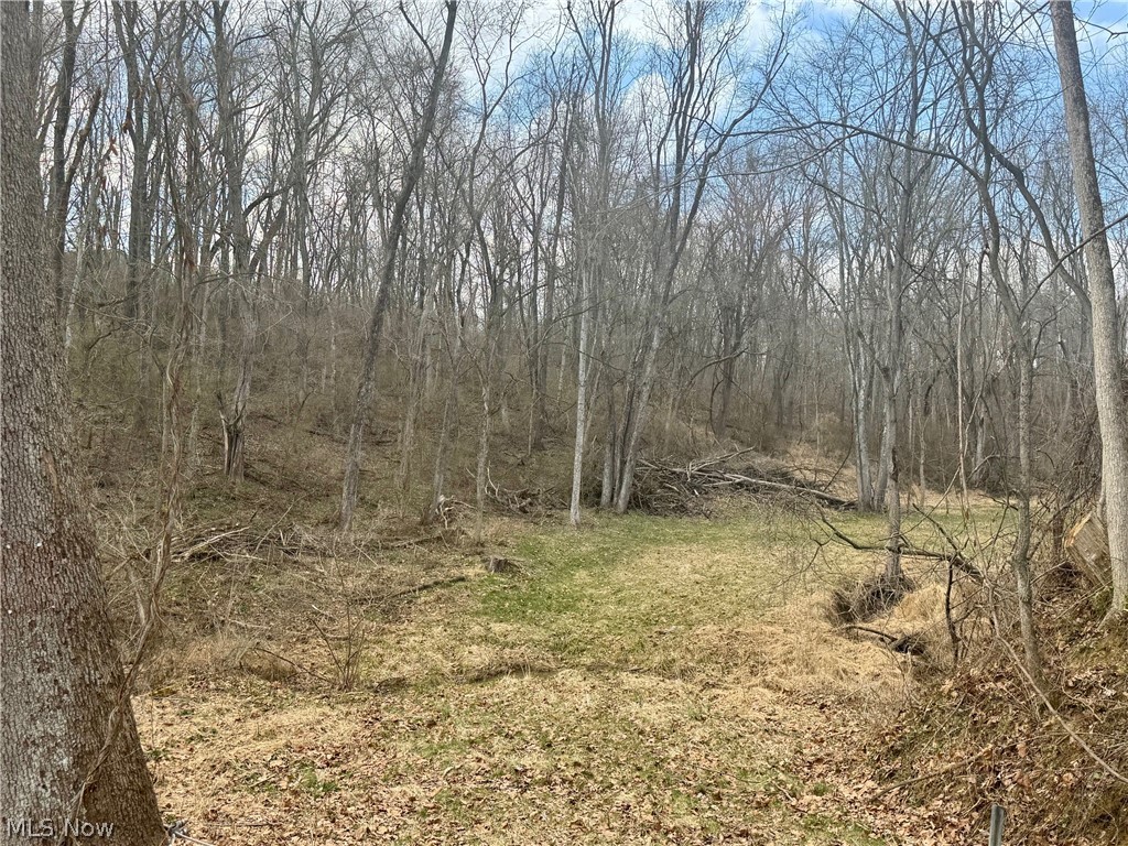 Cooper-Rdg Sub - Land