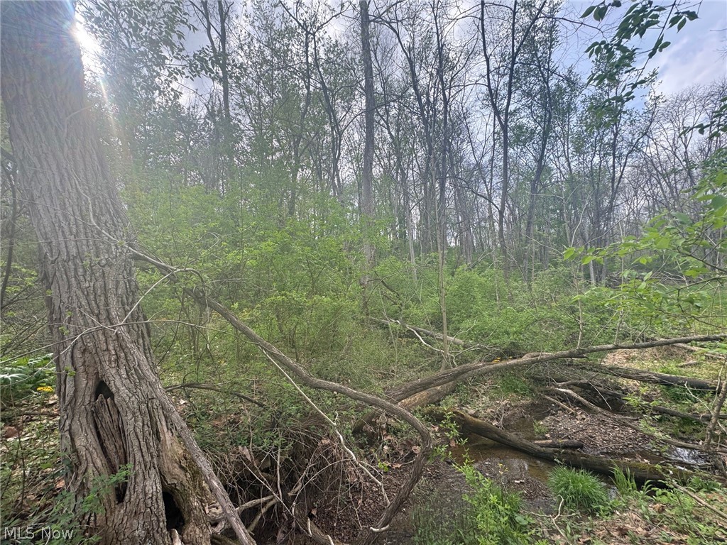 Cooper-Rdg Sub - Land