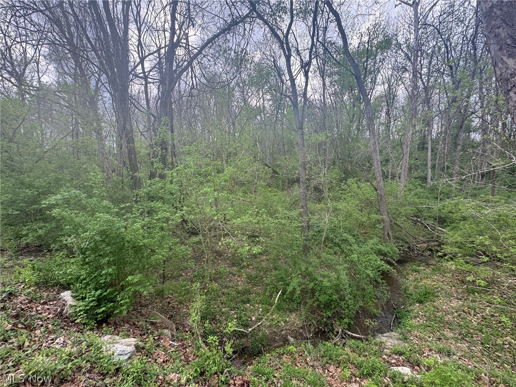 Cooper-Rdg Sub - Land