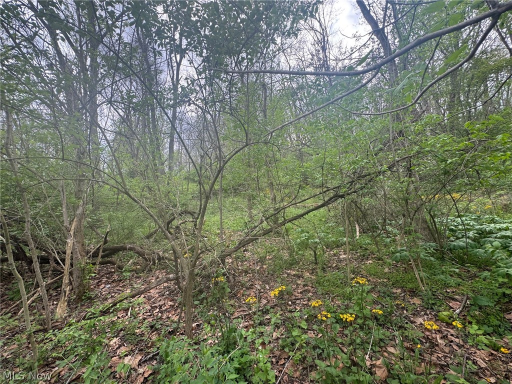 Cooper-Rdg Sub - Land