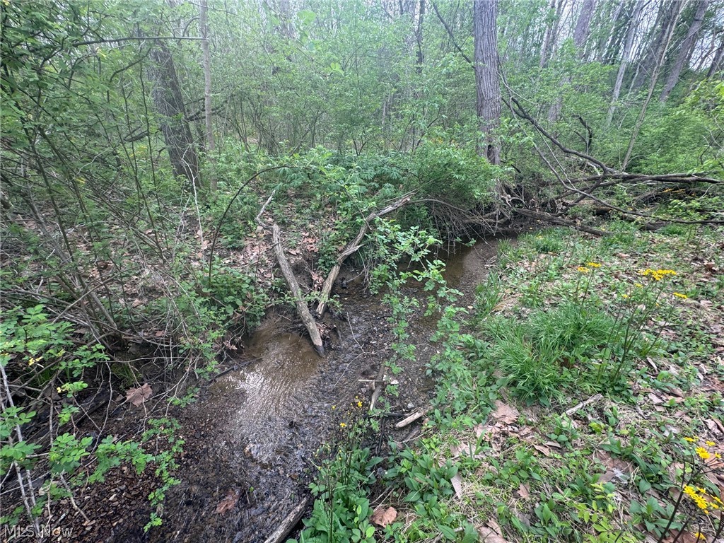 Cooper-Rdg Sub - Land