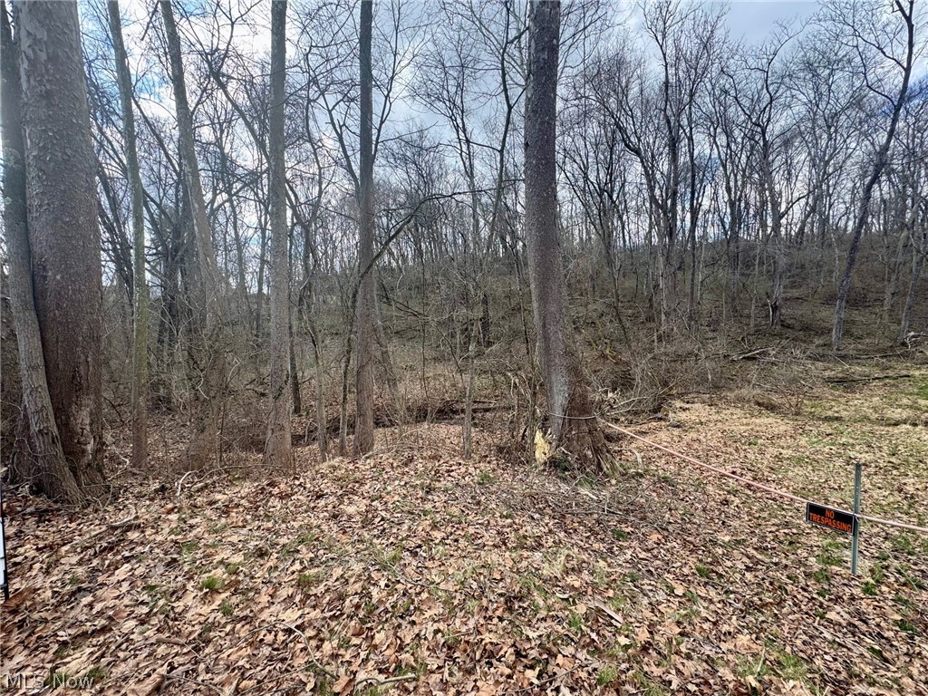 Cooper-Rdg Sub - Land