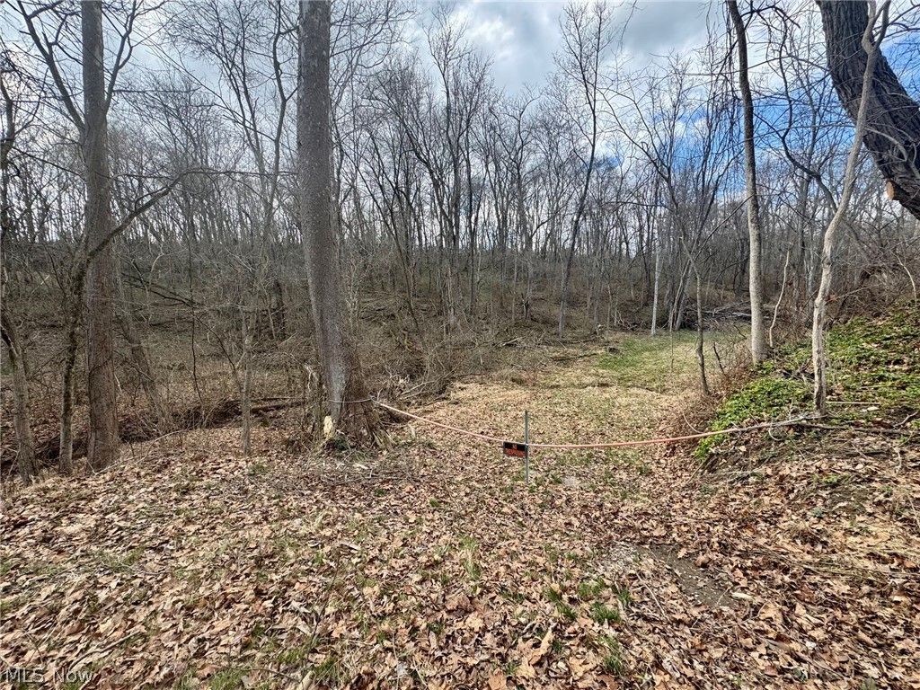 Photo of Archer Lane, Zanesville, OH 43701 (MLS # 5192499)