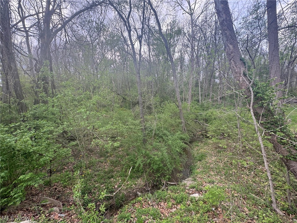 Cooper-Rdg Sub - Land