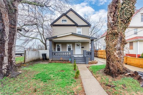 Homes For Sale - 15301 Daniel Avenue<br/> Cuyahoga County, Cleveland, OH 44110