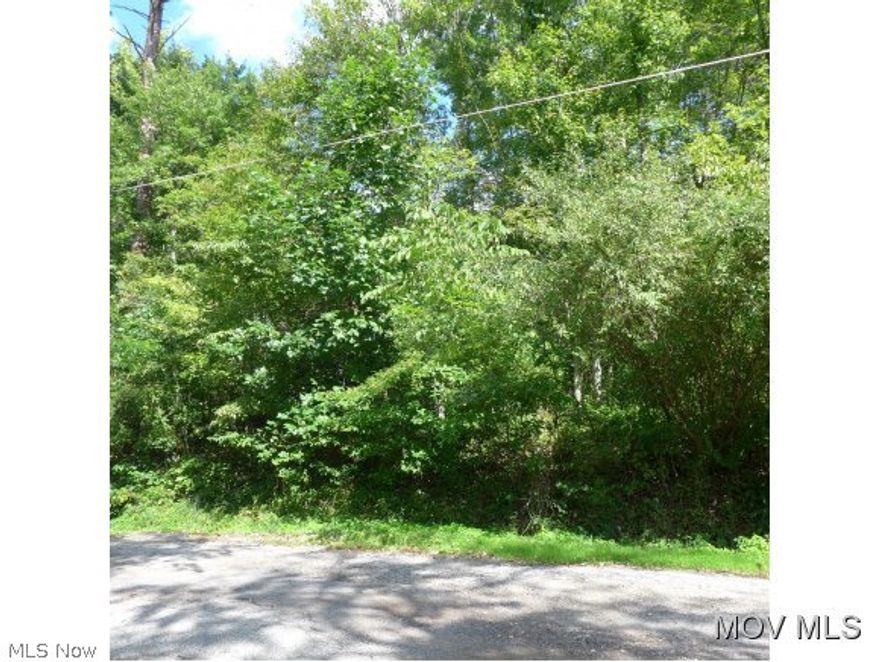Wooded building lot in established neighborhood, Fairview Acres #5 located on a paved street just before the road curves to the left. Lot to be used for residential purposes with 3BR homes having 900sq.ft. and 2 bedroom homes having 768sq.ft. Cannot be used as a junkyard. Gas, electric, water available.  Elem: Lubeck Elementary School  Elem/Bus: Y  JrHigh: Blennerhasset Jr. High School  JrHigh/Bus: Y  High: Parkersburg South High  High/Bus: Y  Fire: VOL  Police: SHF