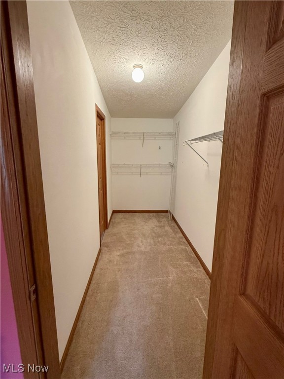 3017 Robinwood Drive, Warren, Ohio image 12