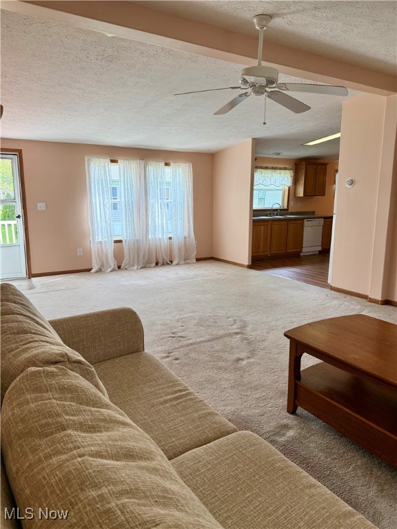 3017 Robinwood Drive, Warren, Ohio image 4