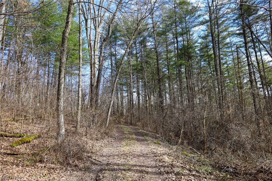 A beautiful tract of hunting land in a very desirable area that could be the sight of your dream home? Thats what what's available with this one! Buy this and have the added bonus of walking across the street to hundreds of acres of public hunting. With Clendening lake being just around the corner this one would set up excellent for a cabin site or maybe and AirBB? So many options here.. great turkey and whitetail hunting, Included in the deal is a newer hunting blind. Take a look at this one today and secure your hunting or building site for now and into the future.