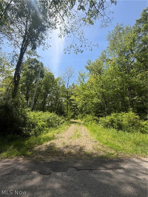 Vacant Land For Sale - Se Robinhood Rd<br/> Dennison, OH 44621