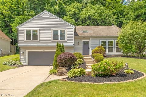 Homes For Sale - 1216 Waldo Way<br/> Summit County, Twinsburg, OH 44087