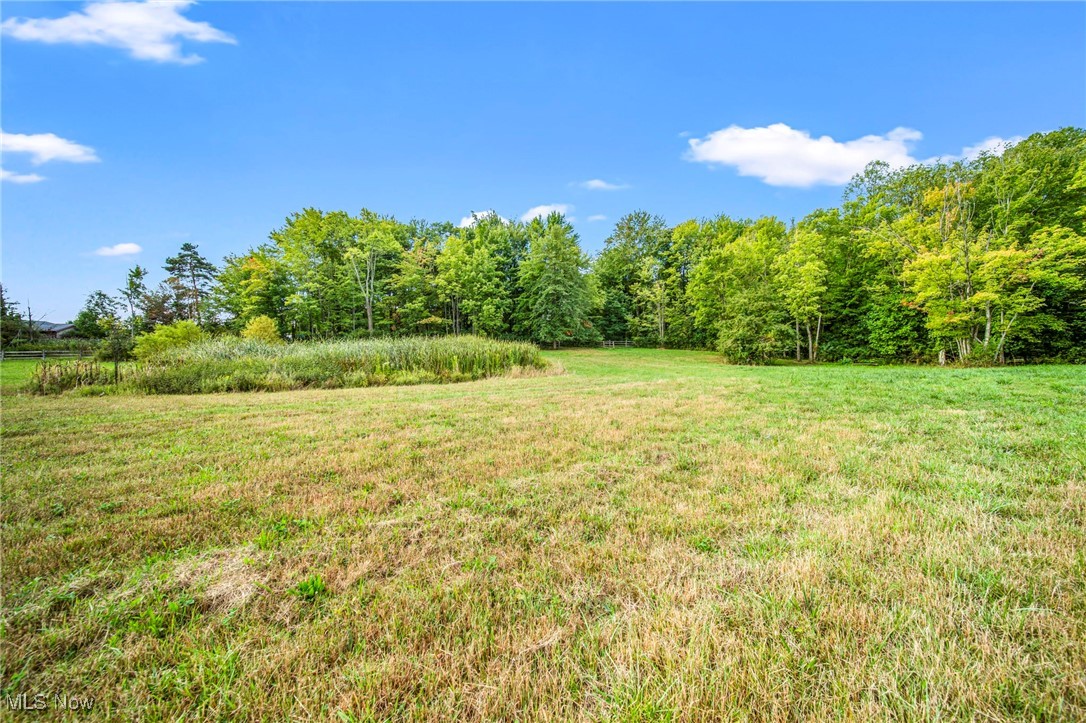 Painesville, Ohio 44077, United States, ,2 BathroomsBathrooms,Residential,Active,202410