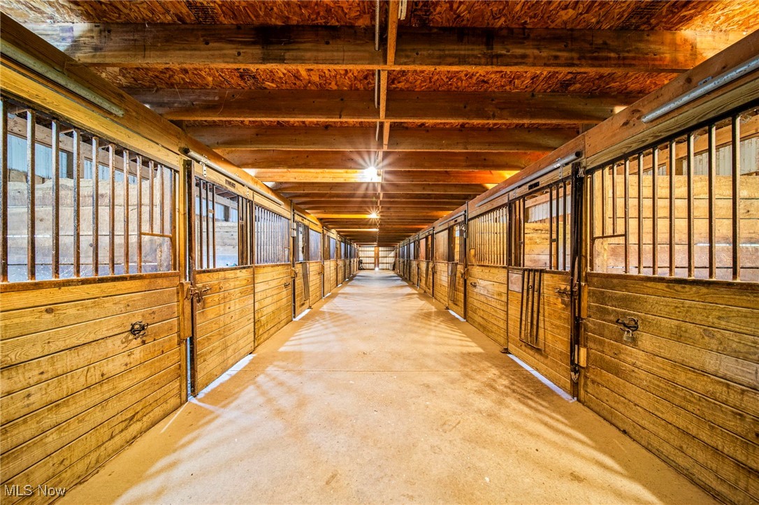 Painesville, Ohio 44077, United States, ,2 BathroomsBathrooms,Residential,Active,202410